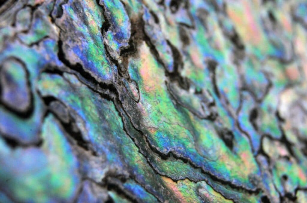 Natural iridescence from multilayered microstructures