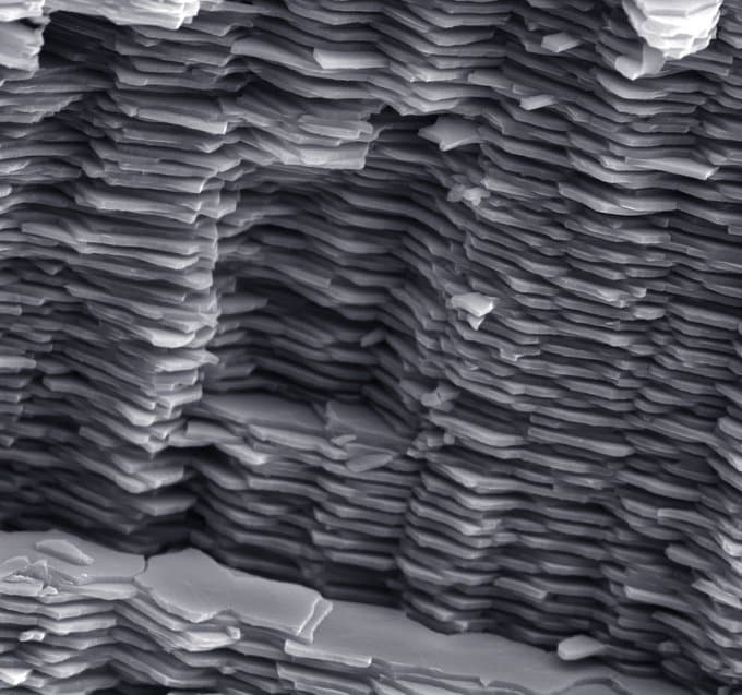 Microscopic multilayered structure of mother-of-pearl